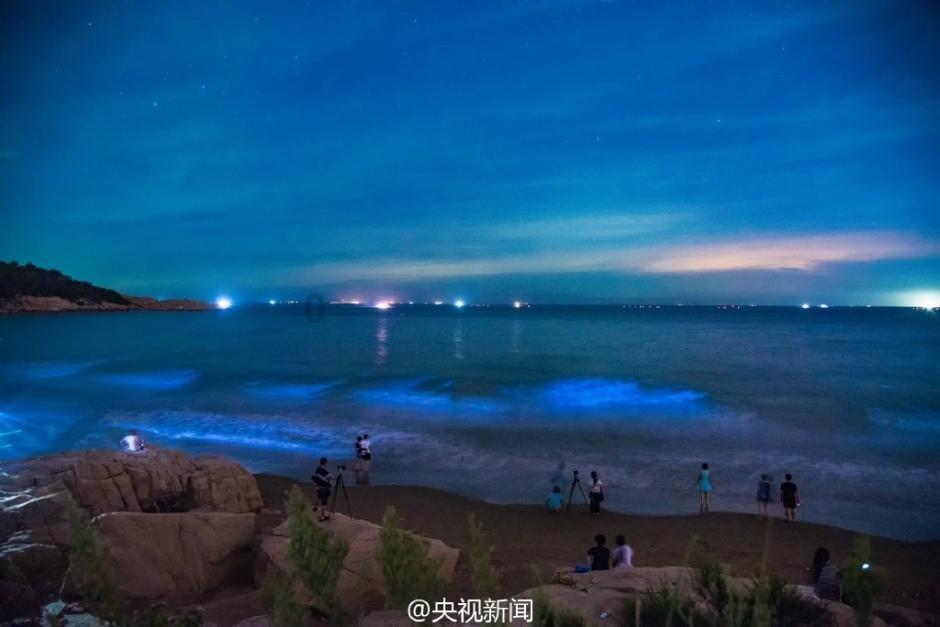 冷知识分享平台-新年的下一联是什么,怎么对??,揭秘你不知道的世界奥秘